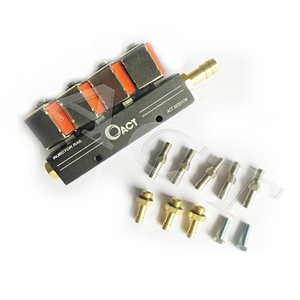 ACT LPG Injector Rail 4 Cyl Kit De <span class=keywords><strong>Conversion</strong></span> a <span class=keywords><strong>Glp</strong></span> Gas Equipment para Auto Gas Injector Rail LPG Gas Kit <span class=keywords><strong>Precio</strong></span> - Product Image 3
