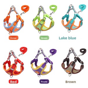 Teddy, một dây nịt đặc biệt cho bichon frise. Đừng tự bóp cổ mình. Yiwu Sản phẩm vật nuôi bán buôn - Product Image 4