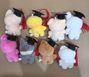 Nuevo Stray Kids Mini colgante FM Field Week niños huérfanos dibujos animados lindo mochila muñeca llavero colgante - Product Image 2