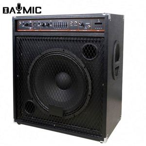 Amplificador Activo Profesional de 15 Pulgadas y 250W para Bajo Acústico, Guitarra, Teclado, Combo de Altavoces para Escenario y DJ - Product Image 1