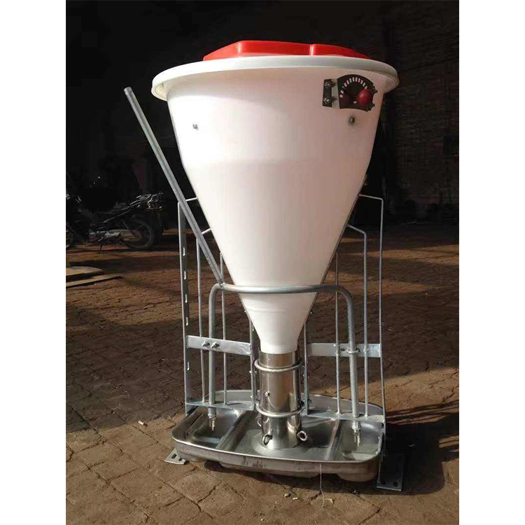 Nouveau intelligent sec et Humide mangeoire aux porcs semi automatique d'alimentation pour porcs
