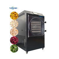 Automatische commerciële lyofilisator vriesdroogapparatuur 20kg 25kg fruit groente vacuümvriesdroogmachine voor voedselverkoop