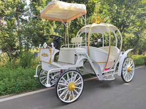 Chariot de luxe électrique en forme de citrouille Cendrillon pour mariages et événements spéciaux en parc à thème - Product Image 6