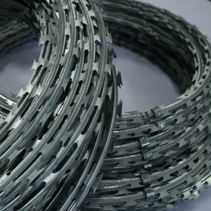 <span class=keywords><strong>ลวดหนาม</strong></span>มีดโกนสังกะสีแบบจุ่ม - Product Image 1