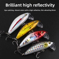 Leurre Artificiel ABS Frenzy pour Pêche au Bar, au Maquereau Espagnol et au Poisson-Chat, Imprimé, à Lentaune Coulée, Longue Portée, pour Pêche Sous-Marine