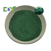 Extrait de Chlorella en Poudre de Qualité Alimentaire, Chlorella Vulgaris, Extrait Végétal, Poudre Verte, Emballage en Fût, Fournisseur OEM