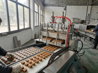 Fully Automatic Jaggery Brown Sugar Cube Making Machine with Control Panel