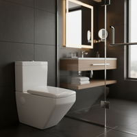 Ensemble WC mural pour salle de bain d'hôtel, cuvette de toilette suspendue en céramique blanche avec réservoir intégré