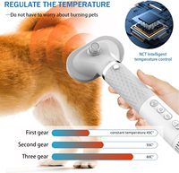 Sèche-cheveux pour animaux de compagnie, portable, à main, pour toilettage des chiens, avec contrôle intelligent de la température, séche-cheveux haute vitesse pour animaux de compagnie