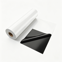 Meilleure vente transfrontalière : Film PE noir et blanc pour sous-sol, membrane spécialisée double face anti-humidité, barrière plastique pour
