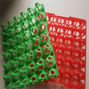 JT Multiple Styles Colors PP <strong>Injection</strong> Moulding Machine to Make Egg Trays <strong>Plastic</strong> Egg Tray Mould - Product Image 5