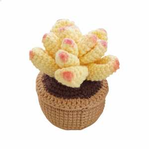 Kit de crochet fait main, jolies fleurs, cadeau de la Saint-Valentin, succulentes, crochet fait main, bouquet de fleurs éternelles, cadeau - Product Image 5