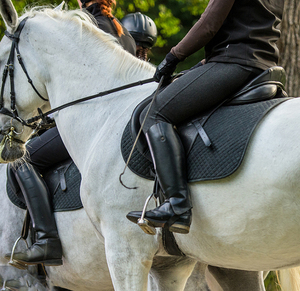 Calzoni <span class=keywords><strong>da</strong></span> competizione per sedili completi collant <span class=keywords><strong>da</strong></span> <span class=keywords><strong>equitazione</strong></span> con stampa in Silicone <span class=keywords><strong>pantaloni</strong></span> equestri con tasche per cintura Leggings <span class=keywords><strong>da</strong></span> donna - Product Image 4