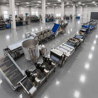 Industriële op maat gemaakte automatische hoog-efficiënte machine voor de verwerking van frieten & fruit, productielijn voor aardappelchips