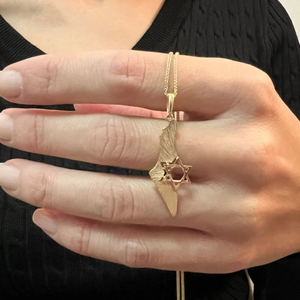 מפת ישראל סיטונאי במפעל שרשרת תכשיטים יהודיים ללא הכתמה 18 קראט מצופה זהב נירוסטה שרשרת כוכב דוד - Product Image 4