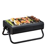 Barbecue portable pliable pour camping et extérieur, idéal pour rôtir du thé et de la viande