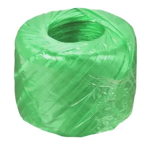 Polypropyleen Waarde Twine Tomaat Koppelverkoop Tuin Touw Polyester Nylon Plastic Touw Twijn Voor Landbouw