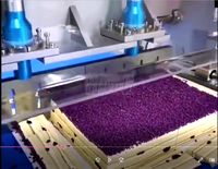 Machine à découper automatique à ultrasons Wanlisonic pour gâteaux carrés et pâtes à brownie, pour usage en boulangerie