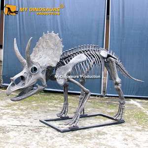 <span class=keywords><strong>Esqueleto</strong></span> de <span class=keywords><strong>Triceratops</strong></span> pequeño de fibra de vidrio para exhibición de museo My Dino DS026 - Product Image 6