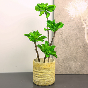 Plante artificielle en pot Yihua Floral Art, 70 cm, fleur en soie verte, décoration intérieure, accessoires de photographie en extérieur - Product Image 3