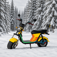 Vélo électrique urbain MAX 48V 1000W, moteur arrière sans balais, cadre en acier au carbone, frein à disque, vitesse unique, affichage numérique LED