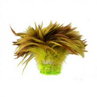 Teint Cock Coque Queue Poulet Coq Plume pour Artisanat DIY Costume Millnery Chapeau Accessoire Scène Fête Carnaval Décor