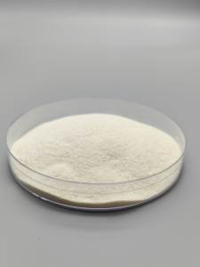 Quitin Natural de Grau Agrícola com Preço Atraente - Product Image 2