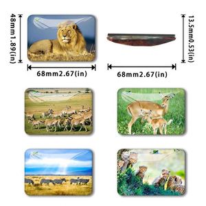 Nouveaux aimants rectangulaires 3D en verre avec animaux, aimants commémoratifs pour réfrigérateur, aimants en cristal pour réfrigérateur - Product Image 6
