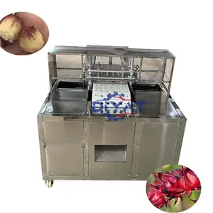 Hoge Efficiëntie Haw Jujube Pitting Machine Datum Core Verwijderen Machine Te Koop