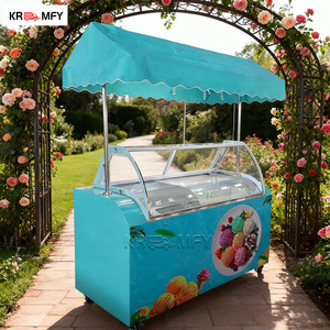 Armoire congélateur à glaces, vitrine à gelato, chariot de vente rapide en métal résistant à la rouille avec auvent - Product Image 2