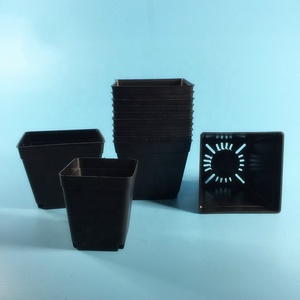 <span class=keywords><strong>Macetas</strong></span> Cuadradas de Plástico Negras de 7 cm para Vivero, para Cultivar Plántulas - Product Image 3