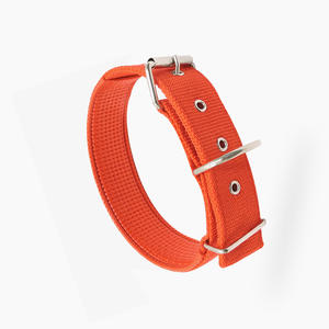 Venta al por mayor de collares de nailon para perros con forro de espuma acolchado correa de cuello ajustable para mascotas con hebilla de aleación de zinc para entrenamiento de correa - Product Image 4