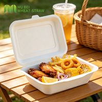 Boîte alimentaire rectangulaire jetable en bagasse de canne à sucre sans PFAS, 7x5 pouces, pour pique-nique, type clamshell