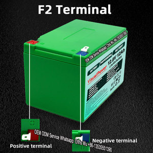 Lithium-Ionbatterij 12V 7ah 10ah 12ah 20ah 30ah 50ah 75ah 100ah 150ah 200ah 300ah Lifepo4-batterij - Product Image 2