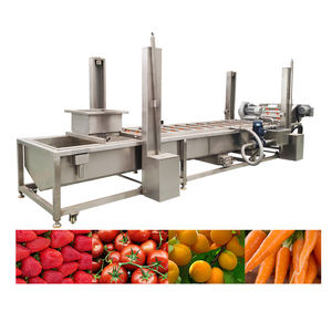 Yazhong carota macchina di pulizia mela frutta rondella date fragola lavatrice verdura e frutta 220v/380v YZQP-2500 400 - Product Image 5