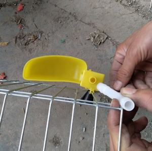 Cage de batterie de caille automatique de nouvelle conception de prix bon marché avec le système d'eau - Product Image 6