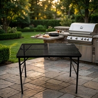 Petite table de camping pliable en fer, design contemporain, pour hôpital, hôtel, plage, randonnée, repas en plein air, barbecue, utilisation en cour