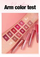 Coffret cadeau de gloss liquide mat HANDAIYAN, rouge vin, nude, tons terreux, anti-transfert, longue tenue, OEM ODM