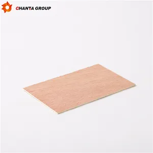 Ply Wood Plywood Professional Manufacturer Waterproof Poplar Plywood 18mm White High Quality Ply Wood