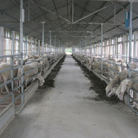 Hangar d'élevage d'animaux en acier préfabriqué à faible coût toit isolé chèvre mouton hangar vache maison agricole
