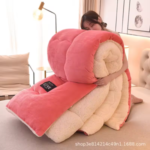 2024 caliente personalizado al por mayor Ultra-suave franela invierno cálido edredón grueso edredón juego de cama edredón - Product Image 3