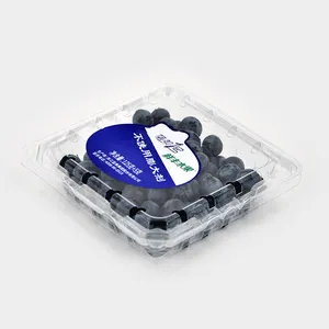 Scatola di imballaggio per frutta in plastica trasparente a conchiglia di mirtillo da 125g