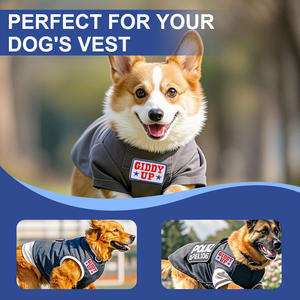 Maßgefertigte Große NFL-Stickerei-Aufbügelpatches für Baseball, Personalisierte Stoffaufnäher für Jacken, Stern-Aufkleber - Product Image 5