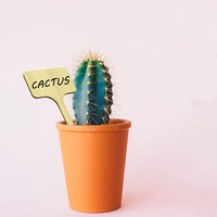 Étiquettes en bois en forme de T, étiquettes de plantes en bois imperméables pour jardin, décoration extérieure, marqueurs de fleurs, étiquettes de plantes en bois