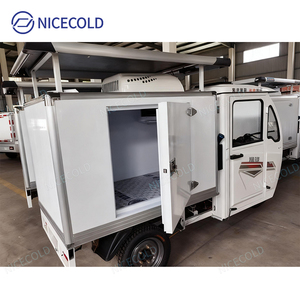 Triciclo Elettrico Refrigerato Personalizzato 2025 per Consegna di Alimenti Surgelati nei Supermercati, Veicolo per Catena del Freddo - Product Image 2
