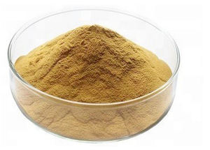 100% Biologische Broccoli Extract Sulforafaan - Product Image 3