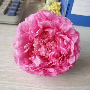 Fleur naturelle préservée en gros, rose Grand Austin, rose éternelle, tête <span class=keywords><strong>de</strong></span> pivoine éternelle pour coffret cadeau, <span class=keywords><strong>bouquet</strong></span> DIY - Product Image 1