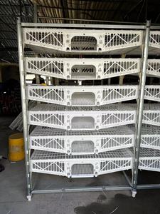 <span class=keywords><strong>Gabbia</strong></span> <span class=keywords><strong>per</strong></span> Quaglie a 6 Piani <span class=keywords><strong>per</strong></span> Allevamento Commerciale in Vendita - Product Image 4