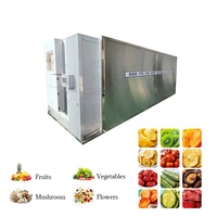 Séchoir à légumes de haute qualité, machine de séchage pour oignons, grains de café, fraises, citrons, concombres, viande et pois-chaussons