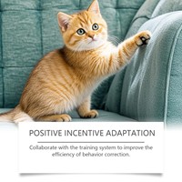 Spray anti-griffures EELJOY à la catnip et à la silvervine, formule douce, guide la correction du comportement du chat, utilisation quotidienne à domicile, flacon pulvérisateur